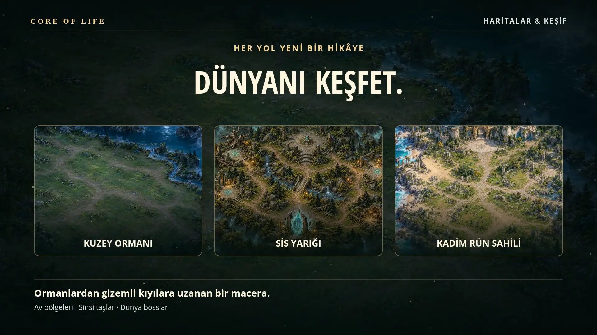 Core of Life dünyasının genel tanıtımı