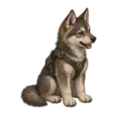 Köpek · Orman Bekçisi
